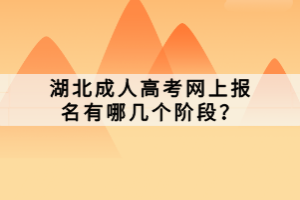 湖北成人高考網上報名有哪幾個階段？