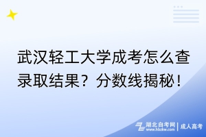 武漢輕工大學(xué)成考怎么查錄取結(jié)果？分?jǐn)?shù)線揭秘！