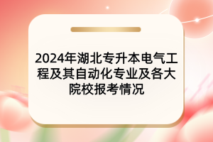 2024年湖北專升本電氣工程及其自動化專業(yè)及院校報(bào)考情況