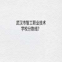 武漢市智工職業(yè)技術(shù)學校分數(shù)線？