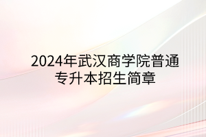 2024年武漢商學(xué)院專升本招生簡章