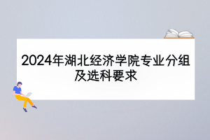 2024年湖北經(jīng)濟(jì)學(xué)院專(zhuān)業(yè)分組及選科要求