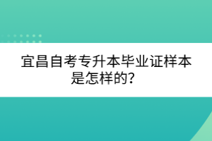 宜昌自考專升本畢業(yè)證樣本是怎樣的？