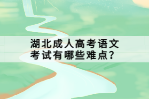 湖北成人高考語文考試有哪些難點？