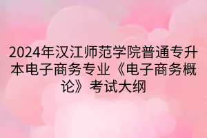 2024年漢江師范學院普通專升本電子商務專業(yè)《電子商務概論》考試大綱