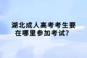 湖北成人高考考生要在哪里參加考試？