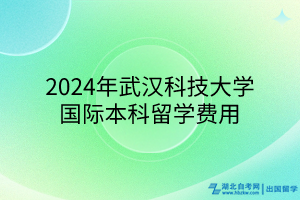 2024年武漢科技大學(xué)國際本科留學(xué)費用