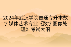 2024年武漢學(xué)院普通專(zhuān)升本數(shù)字媒體藝術(shù)專(zhuān)業(yè)《數(shù)字圖像處理》考試大綱