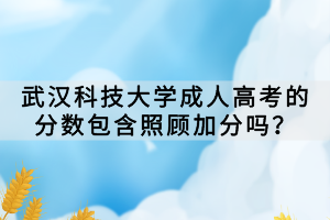 武漢科技大學(xué)成人高考的分?jǐn)?shù)包含照顧加分嗎？