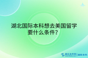 湖北國(guó)際本科想去美國(guó)留學(xué)要什么條件？