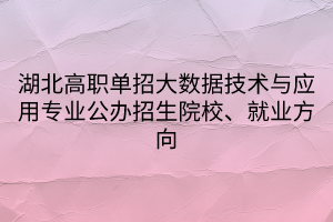 湖北高職單招大數(shù)據(jù)技術(shù)與應(yīng)用專(zhuān)業(yè)公辦招生院校、就業(yè)方向