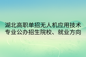湖北高職單招無人機應用技術專業(yè)公辦招生院校、就業(yè)方向