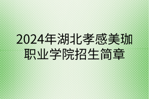 2024年湖北孝感美珈職業(yè)學院招生簡章