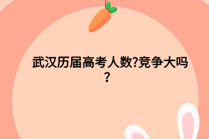 武漢歷屆高考人數(shù)?競爭大嗎？