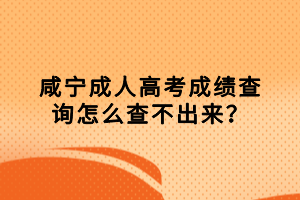 咸寧成人高考成績查詢怎么查不出來？