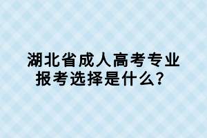 湖北省成人高考專業(yè)報(bào)考選擇是什么？