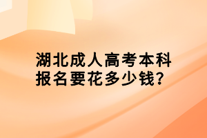 湖北成人高考本科報名要花多少錢？