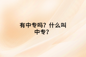 有中專嗎？什么叫中專？