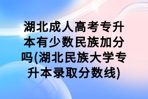 湖北成人高考專升本有少數民族加分嗎(湖北民族大學專升本錄取分數線)