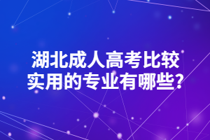 湖北成人高考比較實用的專業(yè)有哪些_