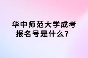 華中師范大學(xué)成考報(bào)名號(hào)是什么？