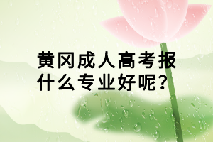 黃岡成人高考報什么專業(yè)好呢？