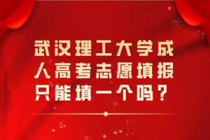 武漢理工大學成人高考志愿填報只能填一個嗎？