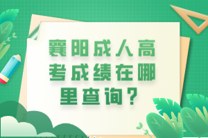 襄陽(yáng)成人高考成績(jī)?cè)谀睦锊樵?xún)？