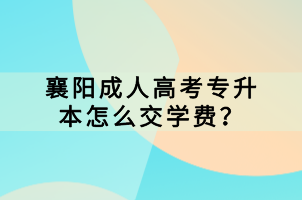 襄陽(yáng)成人高考專升本怎么交學(xué)費(fèi)？