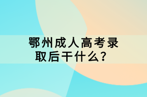 鄂州成人高考錄取后干什么？