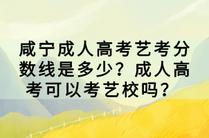 咸寧成人高考藝考分?jǐn)?shù)線是多少？成人高考可以考藝校嗎？