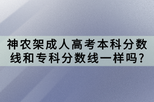 神農(nóng)架成人高考本科分?jǐn)?shù)線和?？品?jǐn)?shù)線一樣嗎_