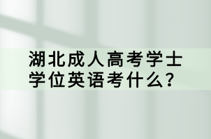 湖北成人高考學(xué)士學(xué)位英語(yǔ)考什么？