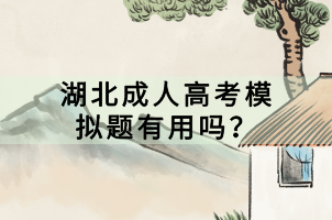 湖北成人高考模擬題有用嗎？