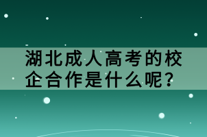 湖北成人高考的校企合作是什么呢？