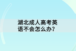湖北成人高考英語(yǔ)不會(huì)怎么辦？