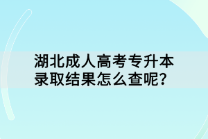 湖北成人高考專升本錄取結(jié)果怎么查呢？