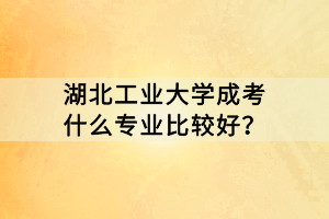 湖北工業(yè)大學(xué)成考什么專業(yè)比較好？