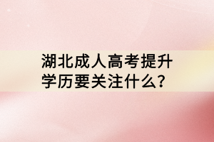 湖北成人高考提升學(xué)歷要關(guān)注什么？