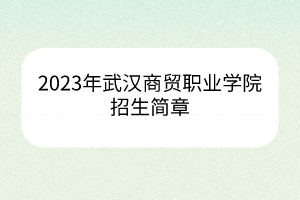 2023年武漢商貿(mào)職業(yè)學(xué)院招生簡章