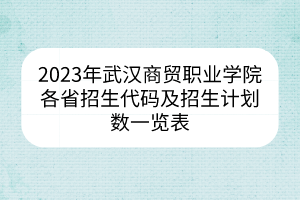 2023年武漢商貿(mào)職業(yè)學(xué)院各省招生代碼及招生計(jì)劃數(shù)一覽表