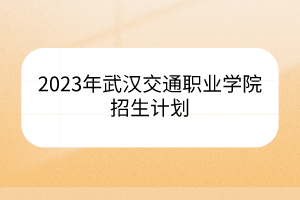 2023年武漢交通職業(yè)學院招生計劃