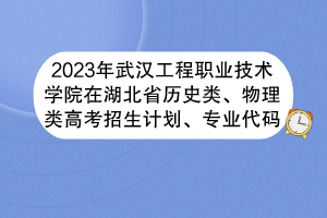 2023年武漢工程職業(yè)技術學院在湖北省歷史類、物理類高考招生計劃、專業(yè)代碼