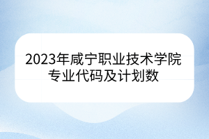 2023年咸寧職業(yè)技術(shù)學(xué)院專業(yè)代碼及計(jì)劃數(shù)