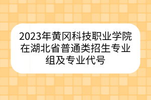 2023年黃岡科技職業(yè)學院在湖北省普通類招生專業(yè)組及專業(yè)代號