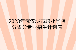 2023年武漢城市職業(yè)學(xué)院分省分專業(yè)招生計劃表