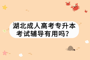 湖北成人高考專(zhuān)升本考試輔導(dǎo)有用嗎？