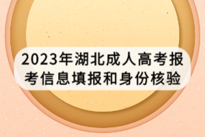 2023年湖北成人高考報(bào)考信息填報(bào)和身份核驗(yàn)