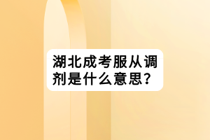 湖北成考服從調(diào)劑是什么意思？