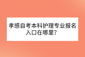 孝感自考本科護(hù)理專業(yè)報(bào)名入口在哪里？